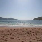 Le Zini